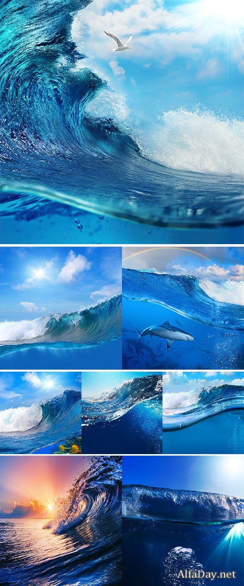  Stock Photos Ocean-view seascape landscape breaking surfing ocean wave 