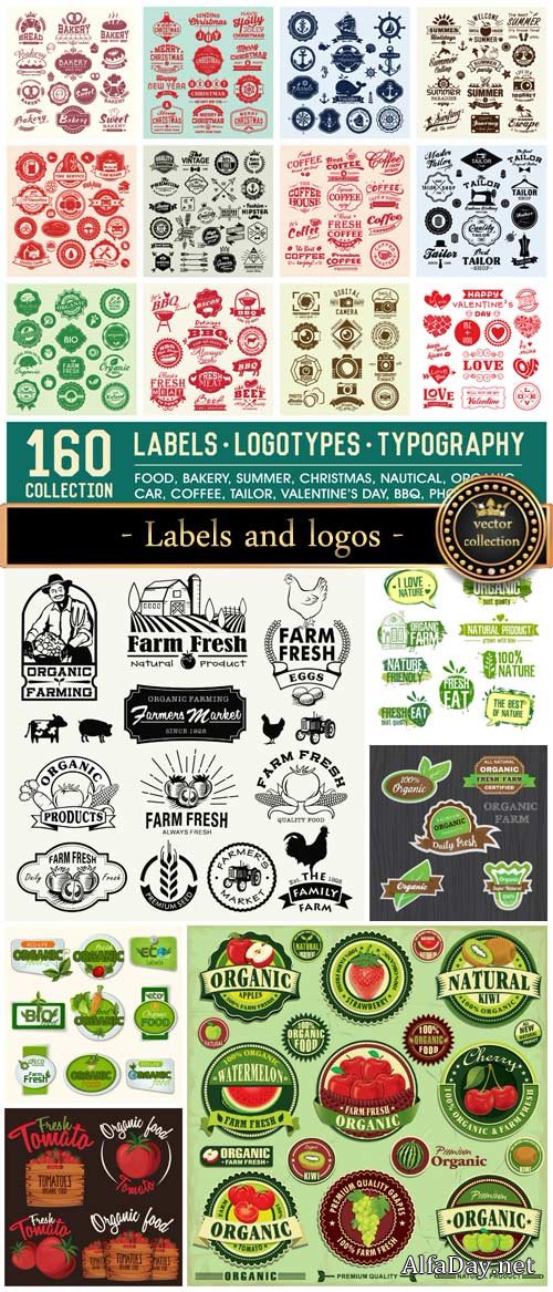 Labels and logos design vector set