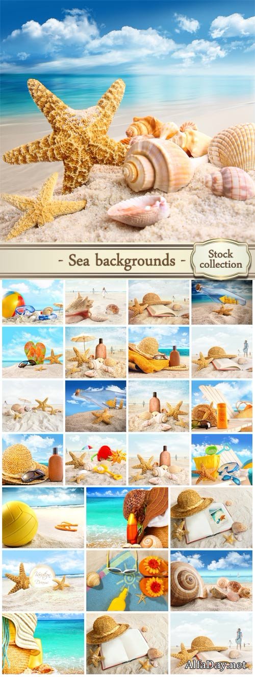 Marine background with shells - stock photos