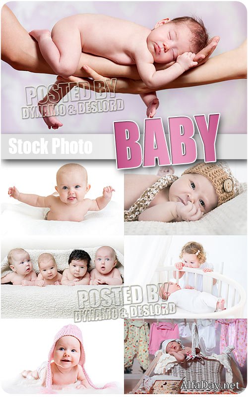 ��������, ������, ��������� ����, ������������� - ��������� �������