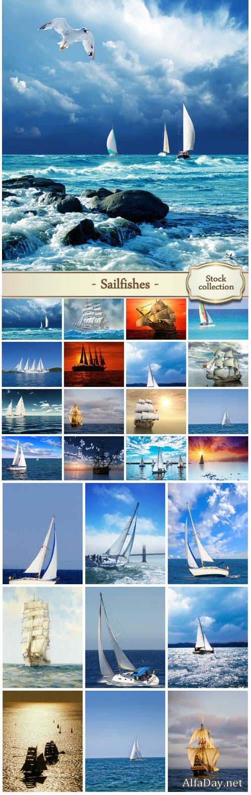 Sailfishes, marine backgrounds - stock photos