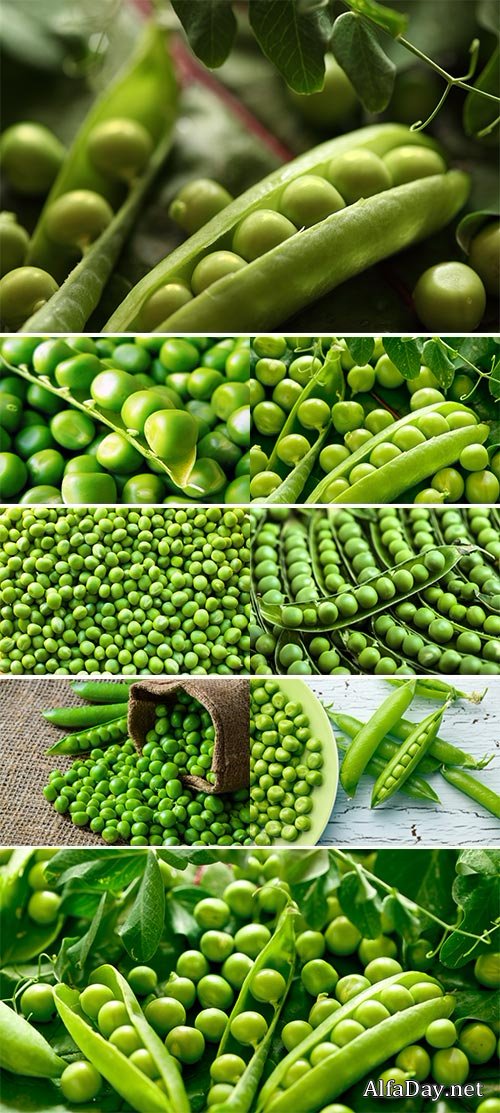 Stock Images - Green peas