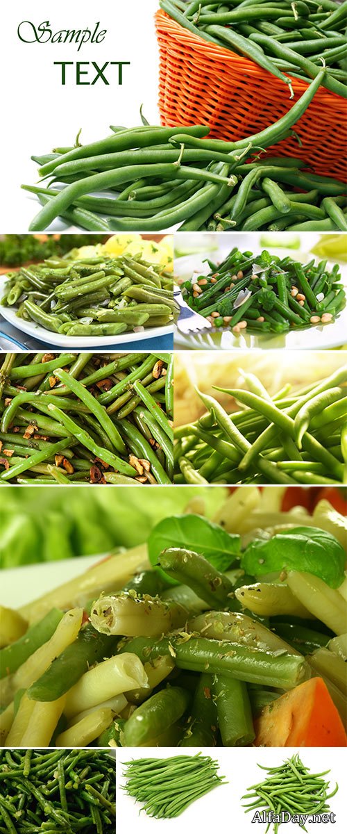 Stock Images - Green beans close up
