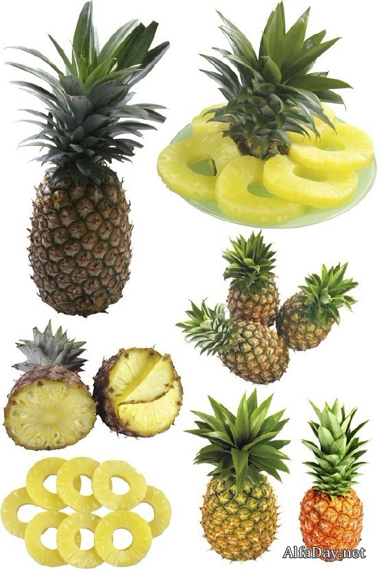 ������ � ������ ������� (���������� ���)