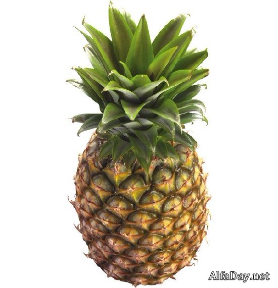 ������ � ������ ������� (���������� ���)