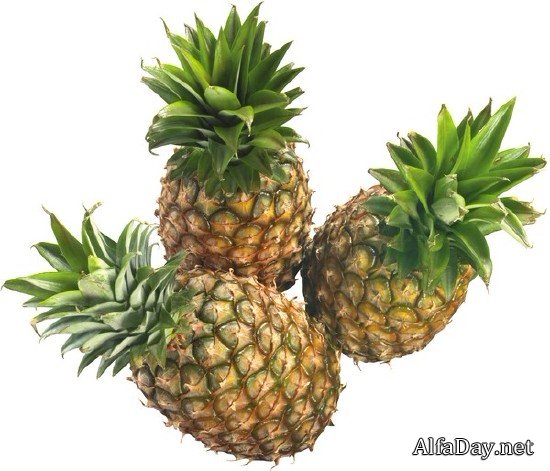 ������ � ������ ������� (���������� ���)