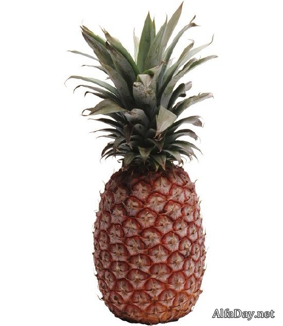 ������ � ������ ������� (���������� ���)