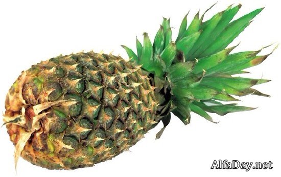 ������ � ������ ������� (���������� ���)