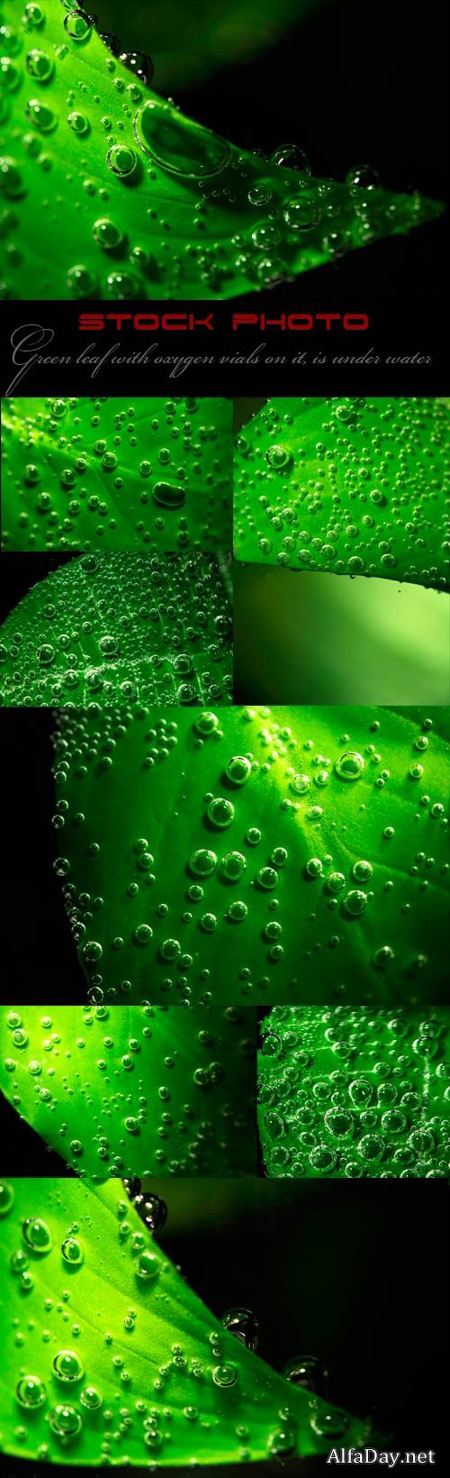 ������� ������ ��� ����� � ���������� �������