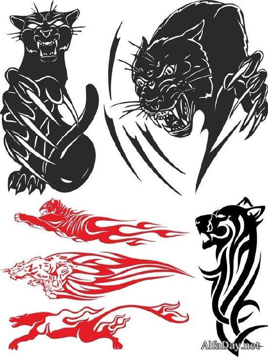 ����: ������ ����� (����, ����, ������, �������) ��������� ���������