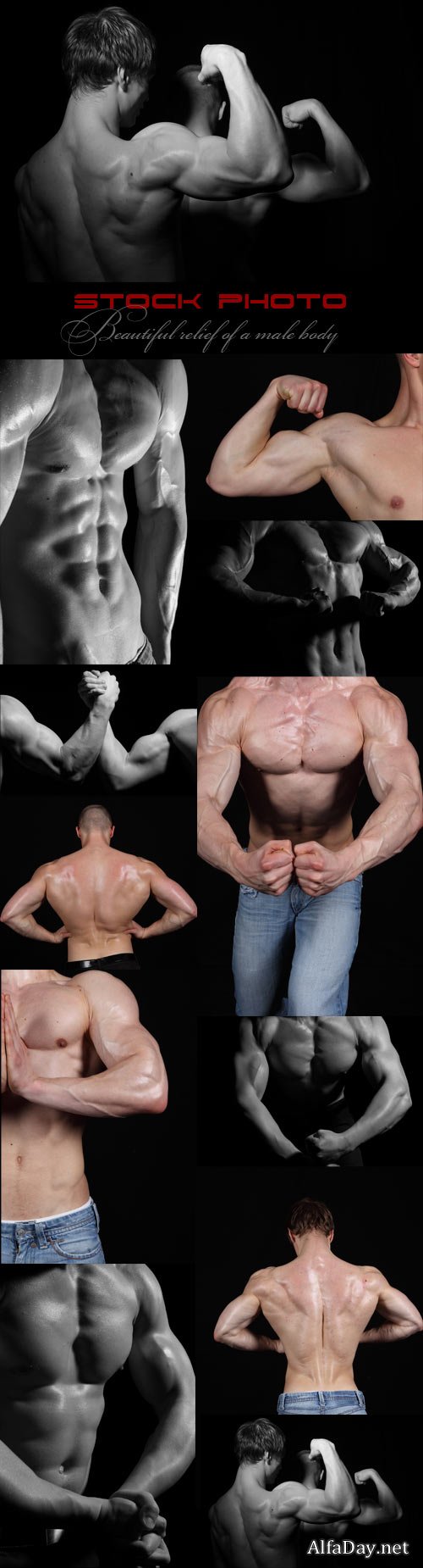 �����, �������, ������� �������, ���������� ���� ���� / Beautiful relief of a male body