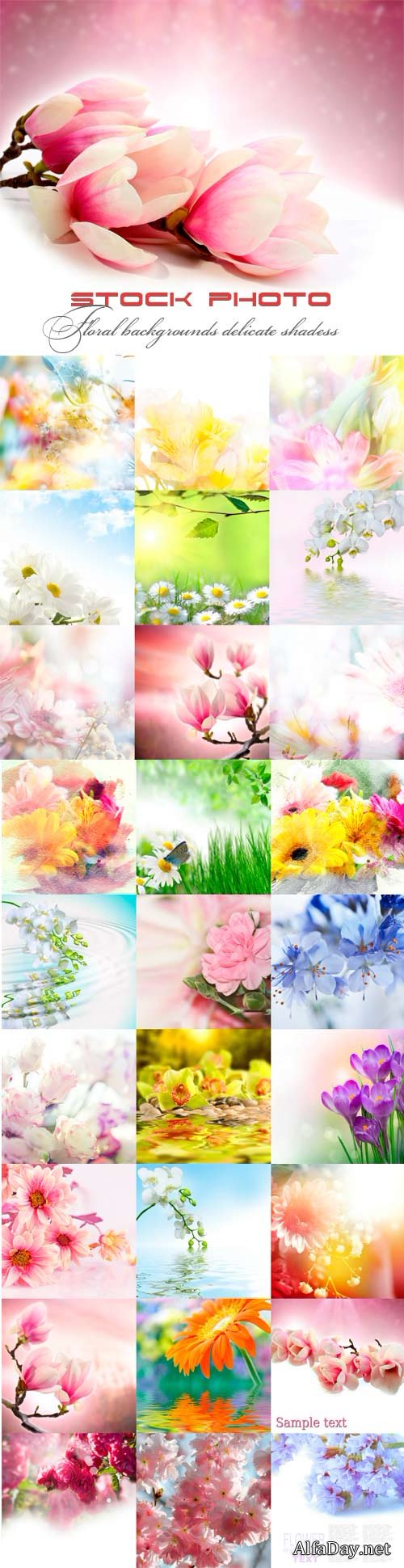 ��������� ���� ������ ��������