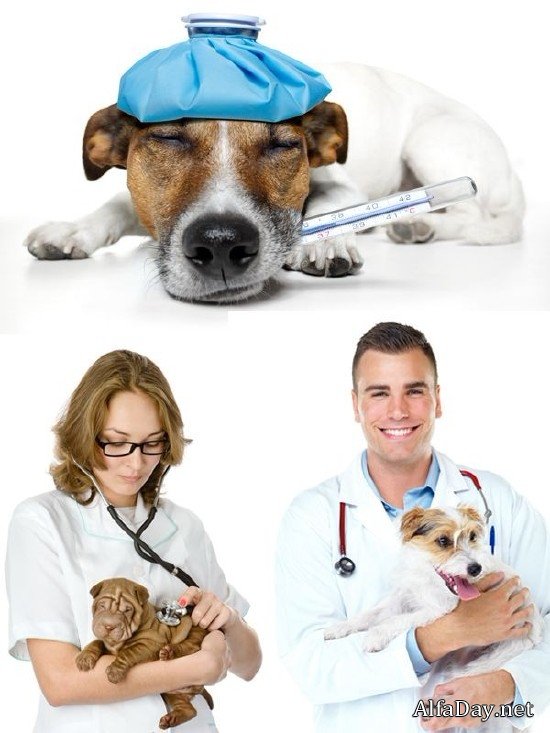 ������������ ��������, ���� ��������� � �������� - ���� �� ����� ����