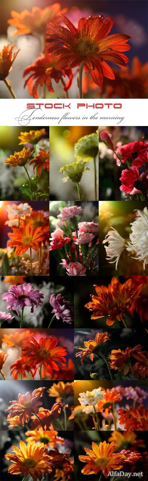 �������� �������� ������