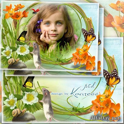 ������ ����� ��� ���� - ������ ���