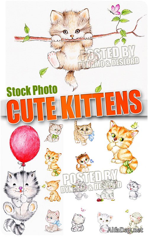 ����� ������ - ��������� �������