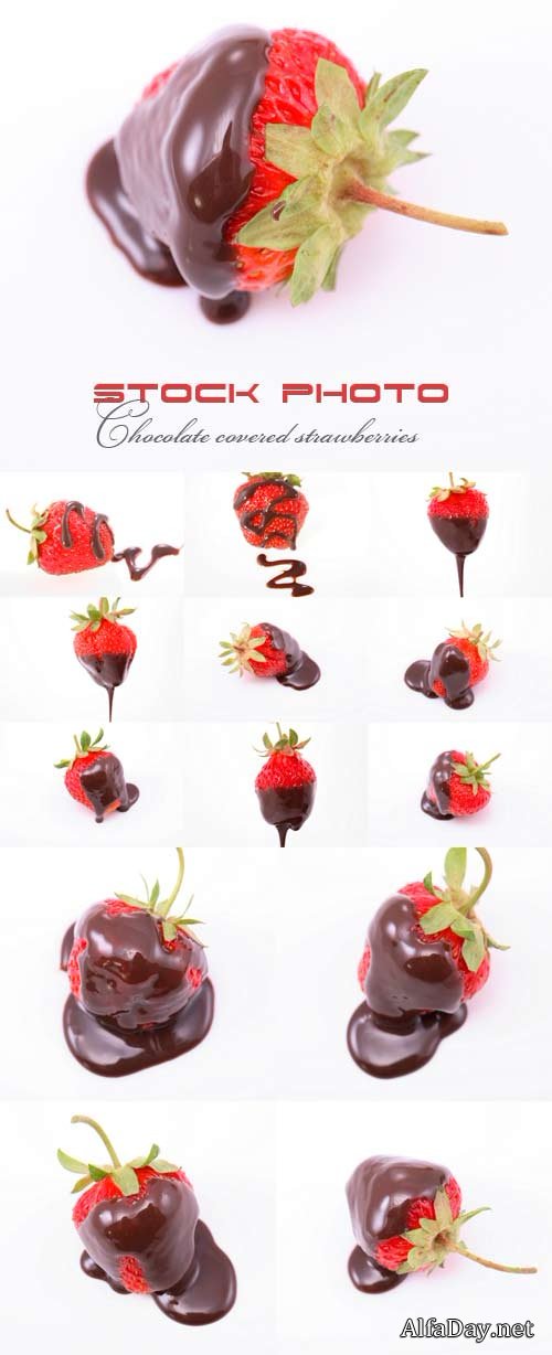 �������� � �������� �� ����� ����