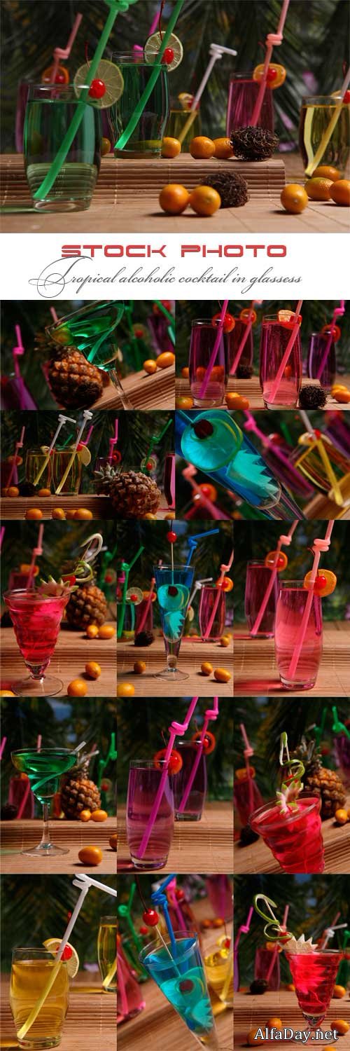 Tropical alcoholic cocktail in glasses