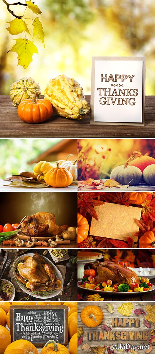 Stock Photos Thanksgiving 