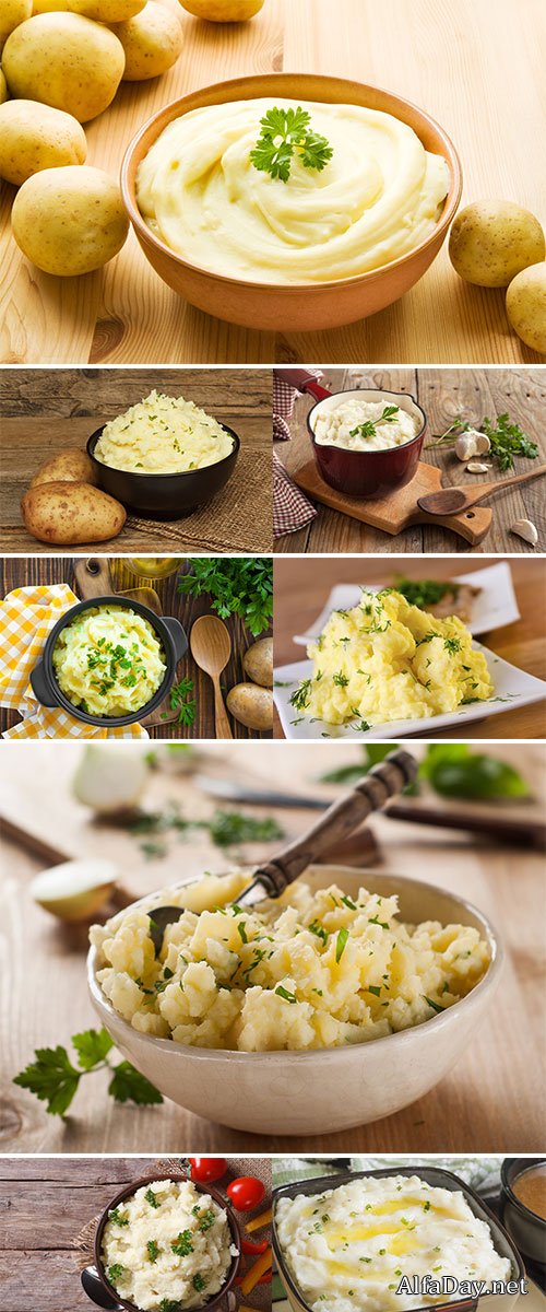 Stock Images Mashed potato 