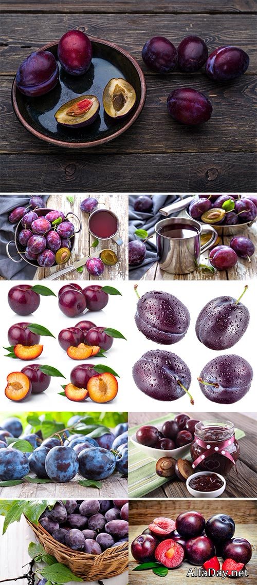 Stock Photos Fresh plums in basket on white background