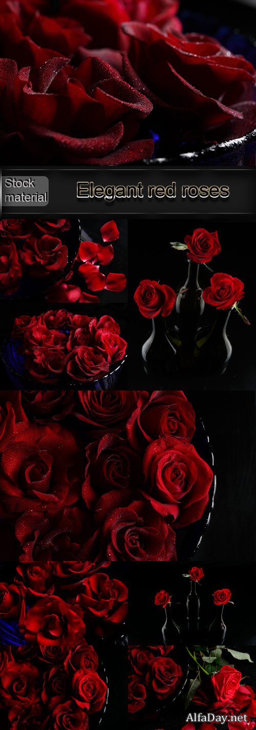 ���������� ������� ���� �� ������ ����