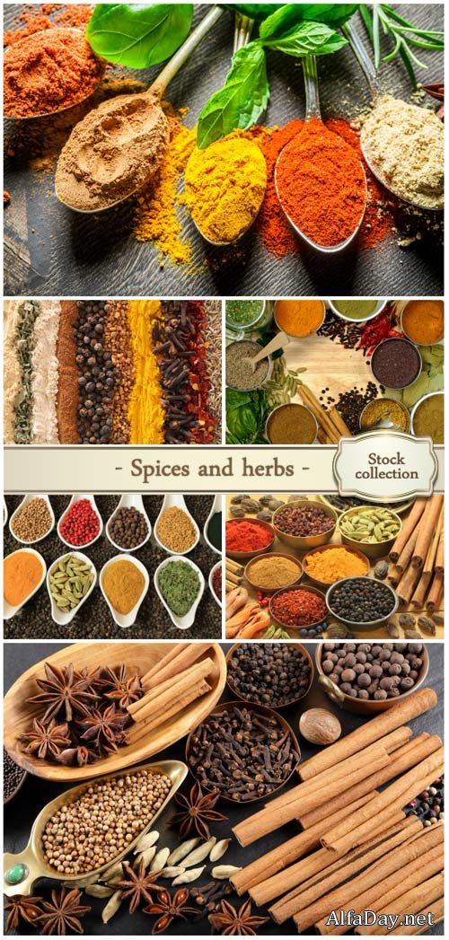 Spices & herbs - Stock photo