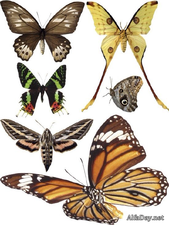 ���������: ������� � �������� (���������� ���) ������ �����