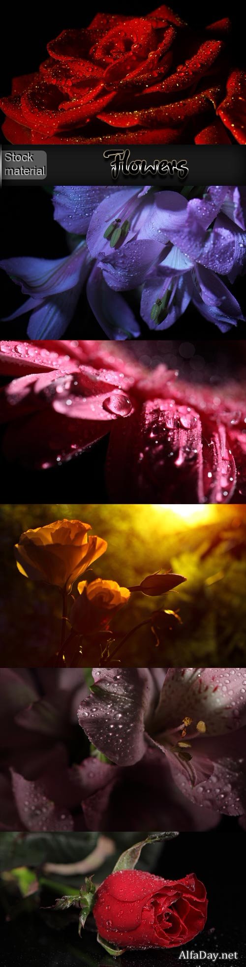 ��������� ����� �� ������ ����