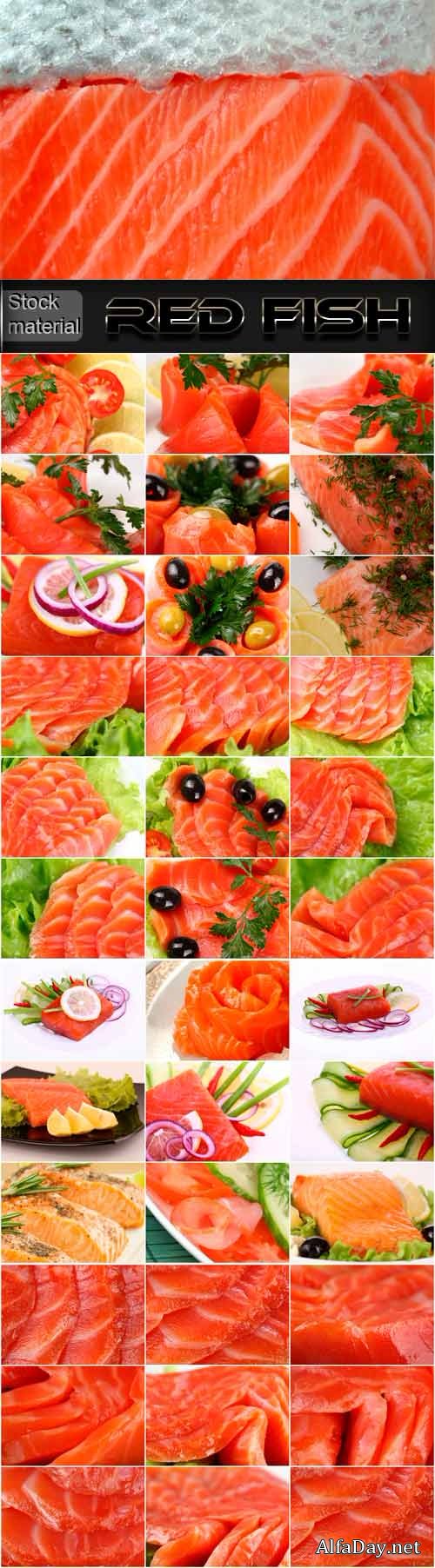 ������� ���� ���� ����