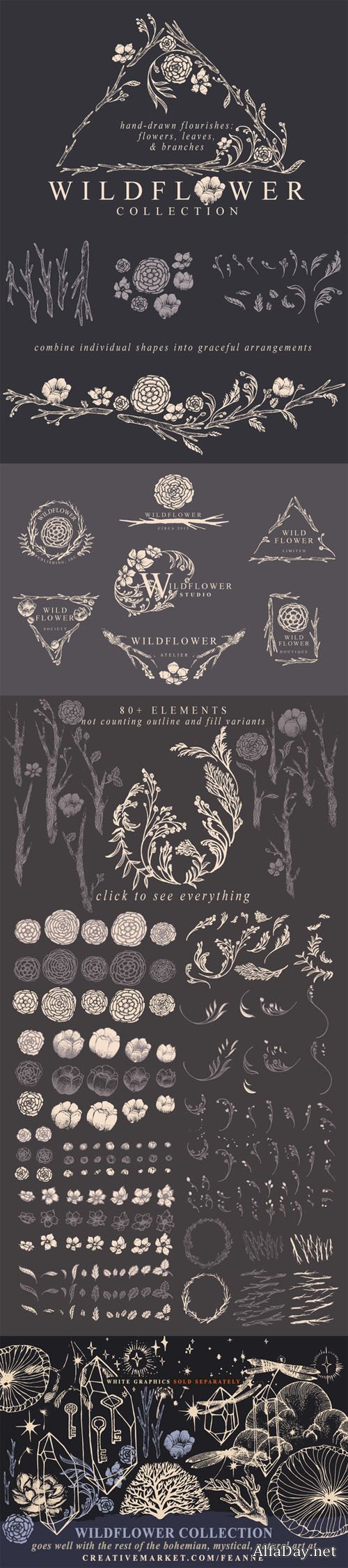 Creativemarket - Wildflower Collection 157098
