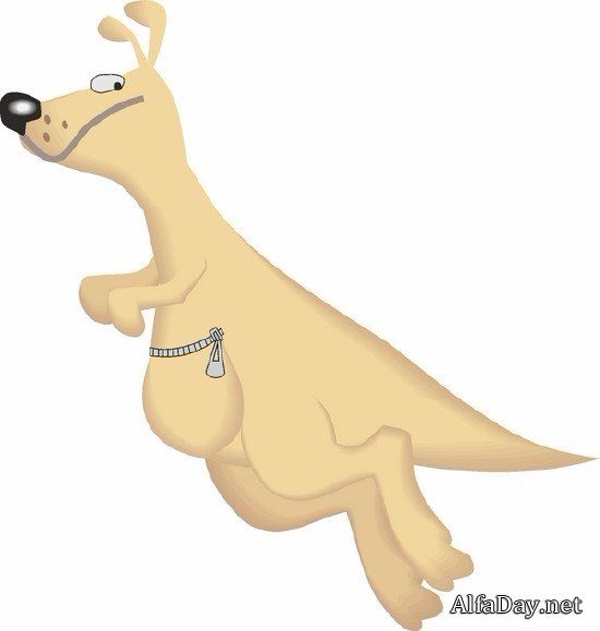 ������� (�������� ��������� ���������)