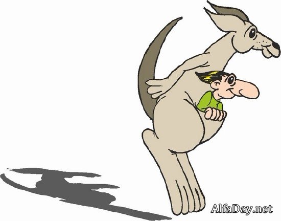 ������� (�������� ��������� ���������)