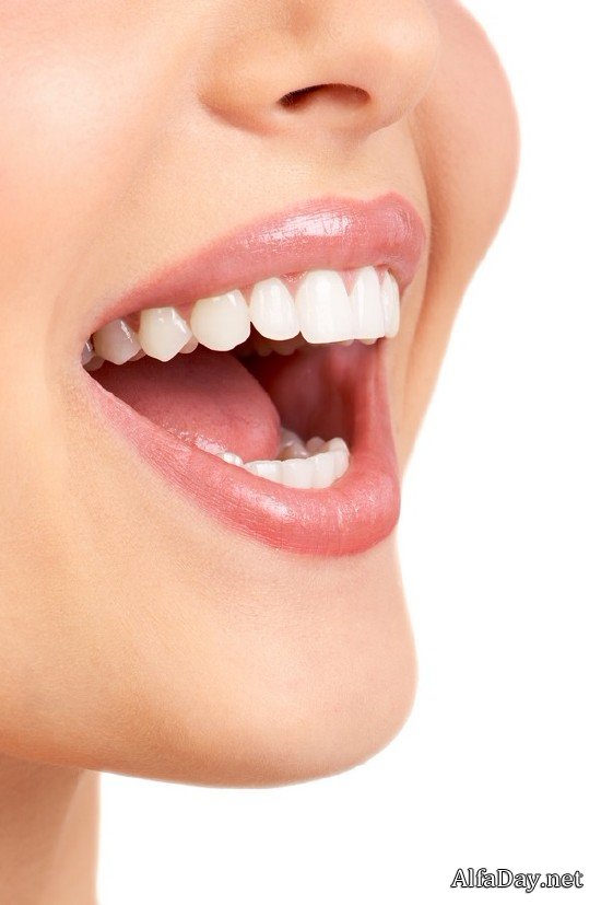 ������, �������� ���� - ��������� �������, ����