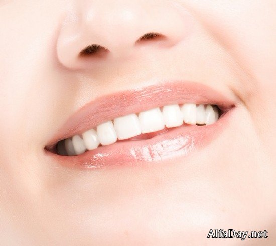 ������, �������� ���� - ��������� �������, ����