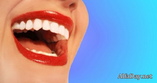 ������, �������� ���� - ��������� �������, ����