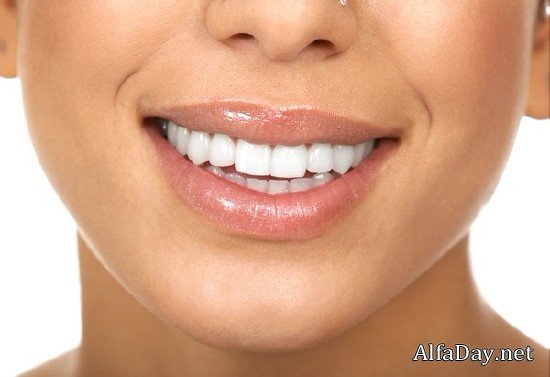 ������, �������� ���� - ��������� �������, ����