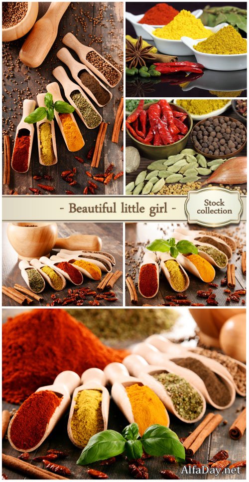 Herbs and spices selection