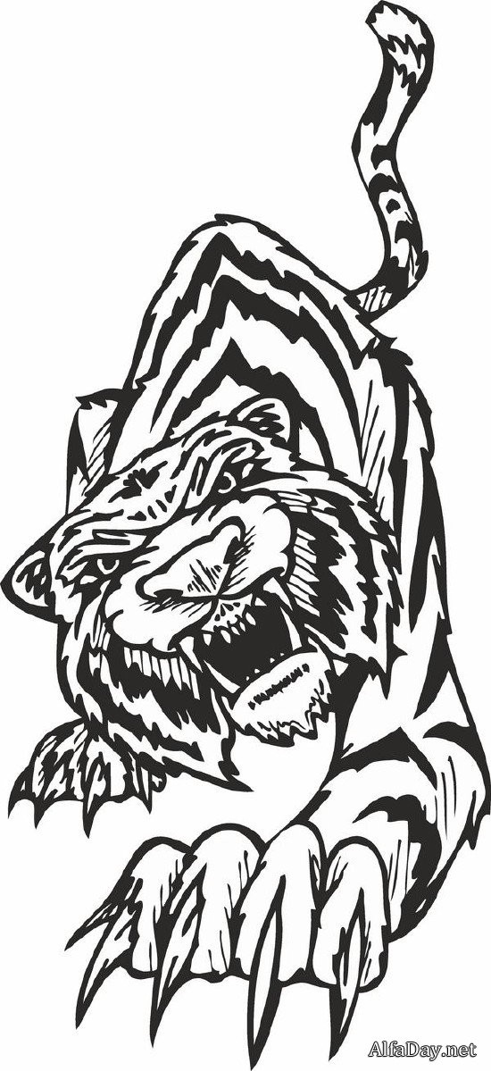 ����: ���� (��������� ���������)