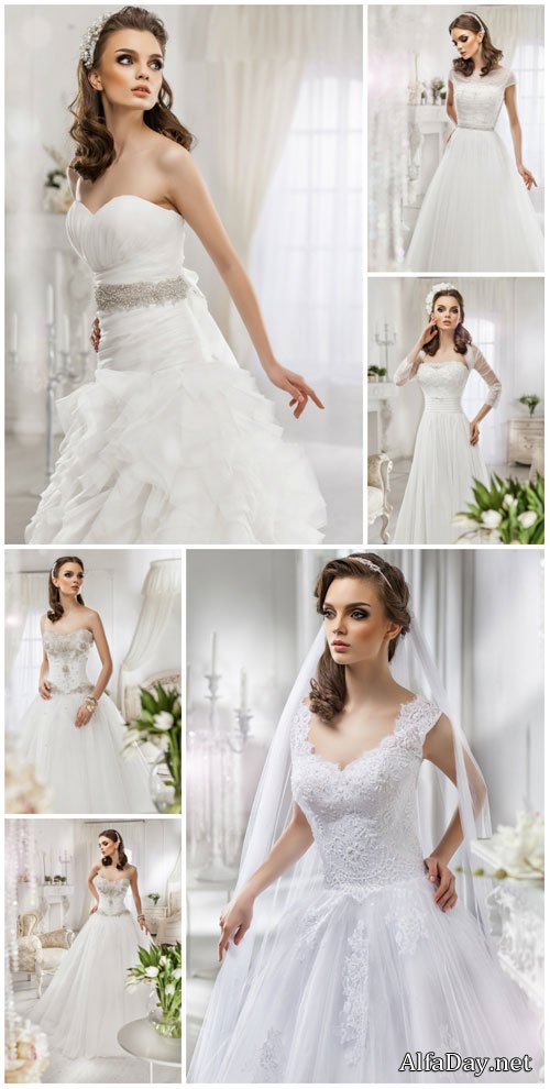 Bride in a luxurious wedding dress - Stock photo