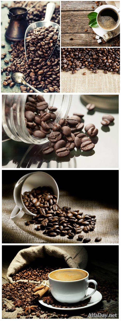 Coffee beans and coffee - Stock photo
