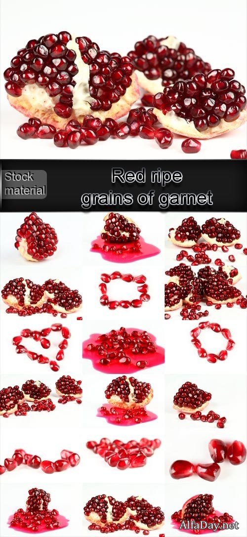 Red ripe grains of garnet