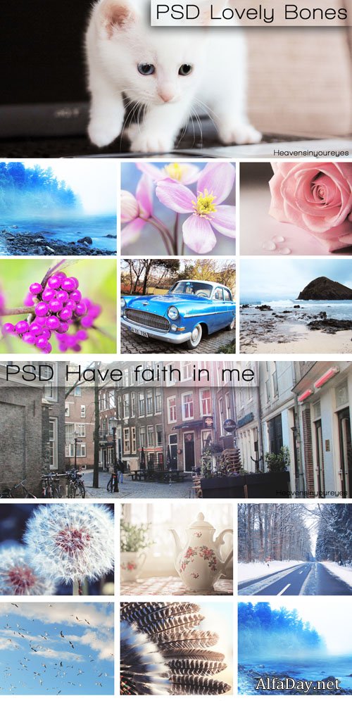 PSD ������� ��� Photoshop, �������� ��������� ����