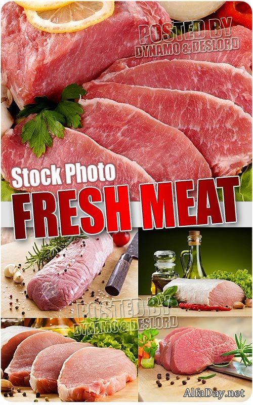 ������ ���� 4 - ��������� �������