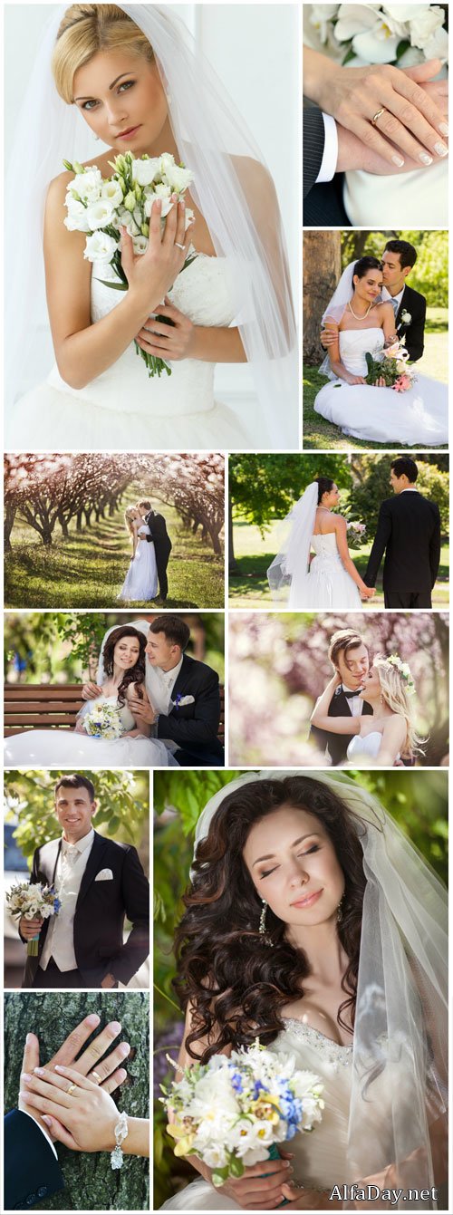 Bride and groom, wedding, family - stock photos