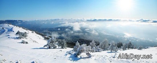 �������� ������ ��������