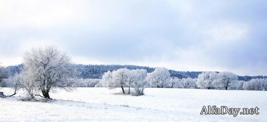 �������� ������ ��������