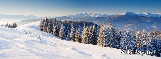 �������� ������ ��������