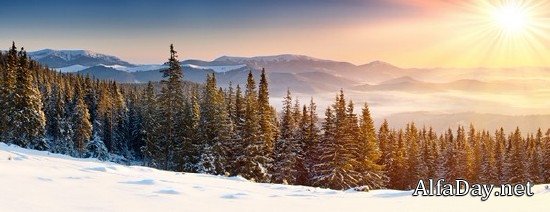 �������� ������ ��������