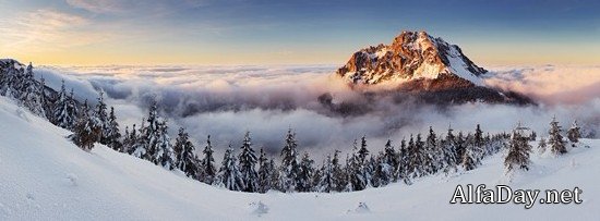 �������� ������ ��������